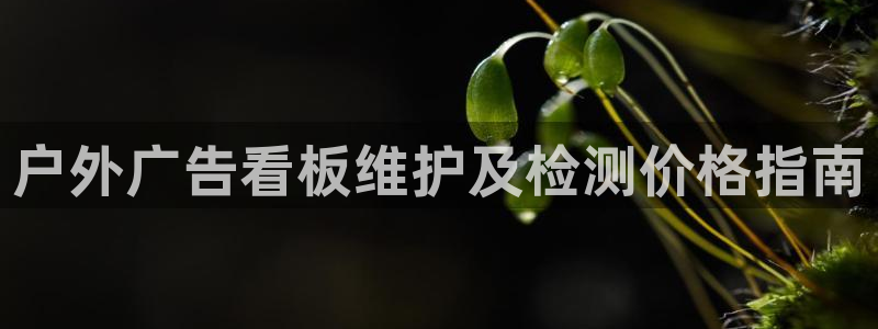 杏宇官方平台官网入口