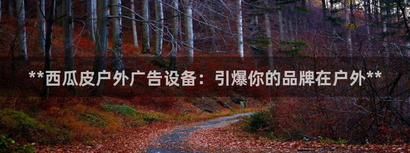 杏宇平台代理怎么样赚钱