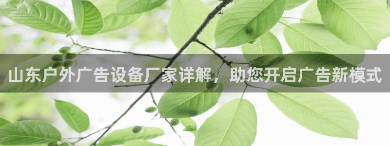 杏宇平台代理怎么赚钱