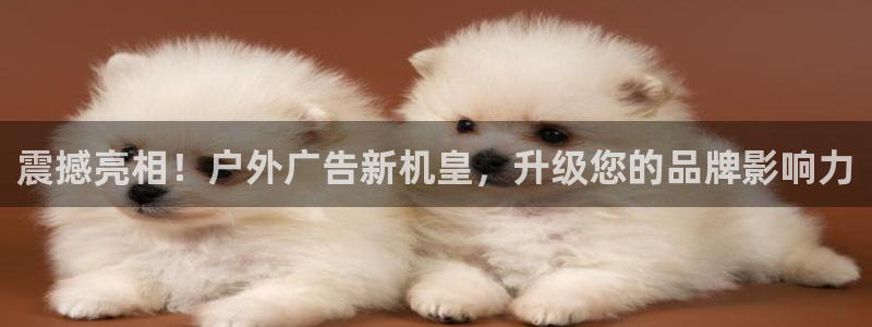 杏宇平台好吗