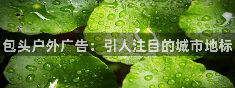 杏宇平台总代理电话
