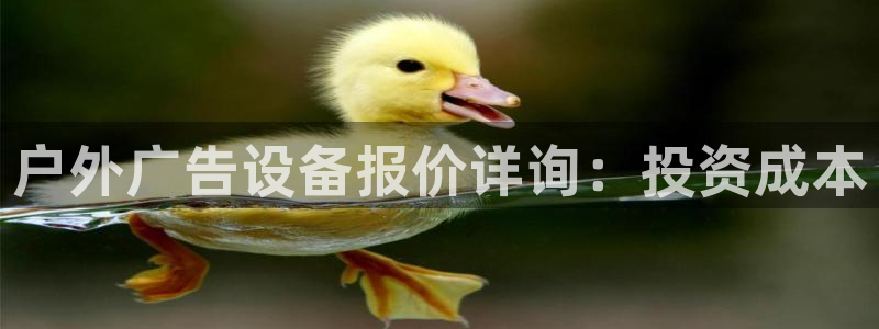 杏宇平台登录步骤