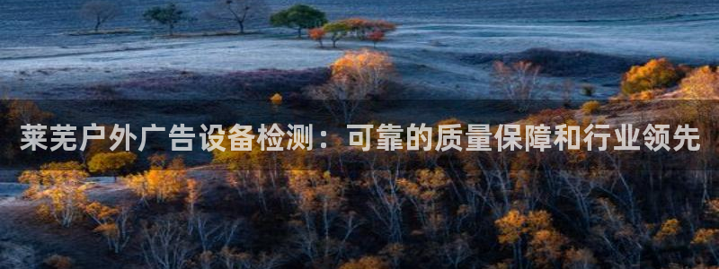 杏宇平台代理怎么赚钱快：莱芜户外广告设备检测：可靠的质量保障和行业领先