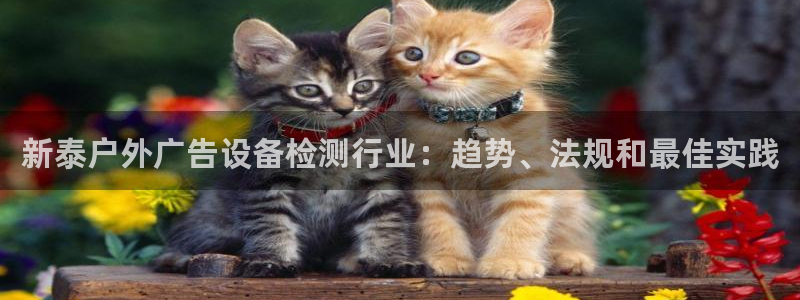 杏宇平台总代理是谁：新泰户外广告设备检测行业：趋势、法规和最佳实践