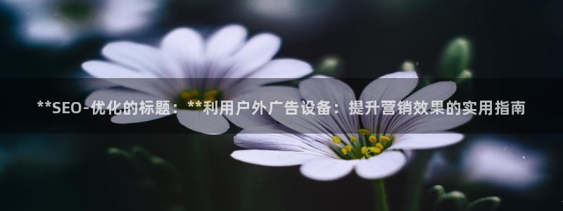 杏宇平台代理多少钱：**SEO-优化的标题：**利用户外广告设备：提升营销效果的实用指南