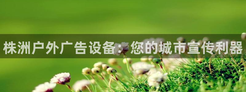 杏宇平台代理怎么样可靠吗：株洲户外广告设备：您的城市宣传利器
