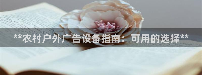 杏宇平台好吗：**农村户外广告设备指南：可用的选择**