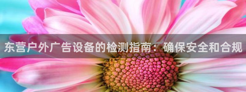 杏宇平台官网注册