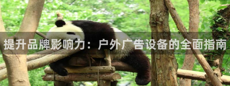 杏宇平台总代理是谁