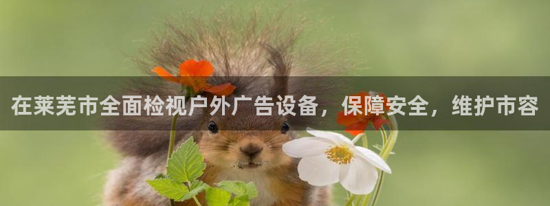 杏宇平台招商电话号码
