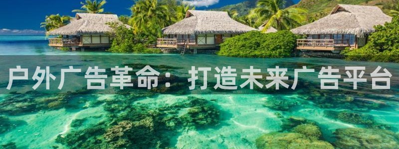 杏宇平台是什么