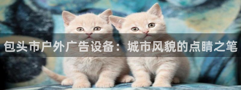杏宇平台代理怎么样可靠吗