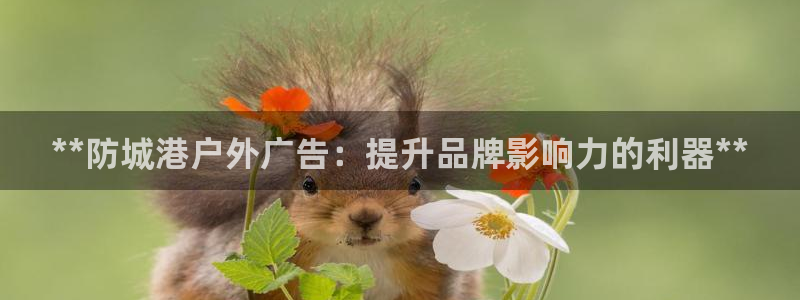 杏宇官方平台官网：**防城港户外广告：提升品牌影响力的利器**