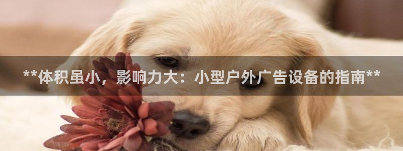 杏宇平台怎么样：**体积虽小，影响力大：小型户外广告设备的指南**