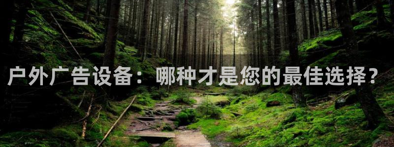 杏宇平台代理多少钱一个月