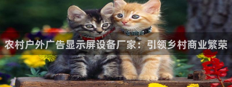 杏宇平台代理怎么赚钱的：农村户外广告显示屏设备厂家：引领乡村商业繁荣