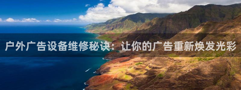 杏宇平台代理多少钱一个月