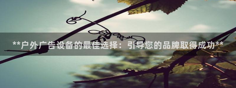 杏宇平台注册地址在哪里