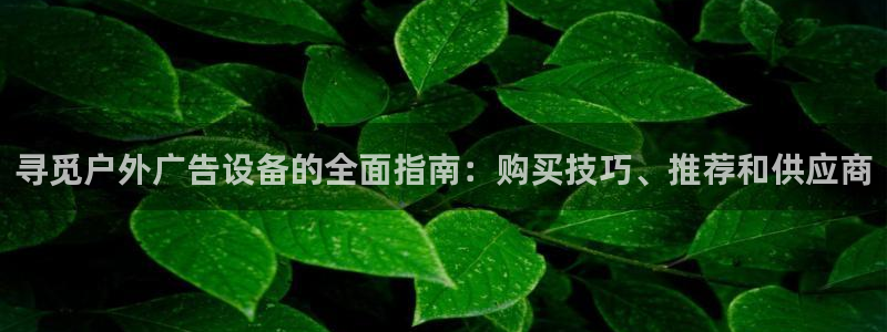 杏宇平台开户：寻觅户外广告设备的全面指南：购买技巧、推荐和供应商