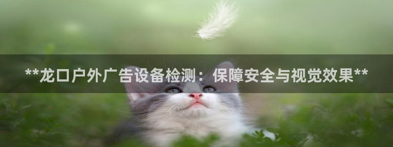 杏宇平台注册地址