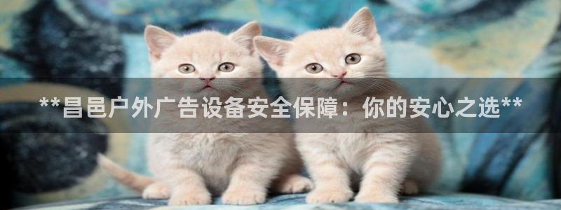 杏宇平台代理多少钱一次