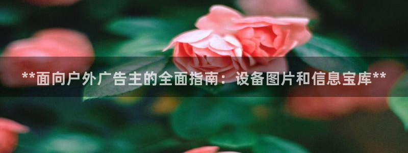 杏宇官方平台官网：**面向户外广告主的全面指南：设备图片和信息宝库**