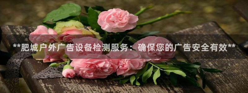 杏宇平台代理：**肥城户外广告设备检测服务：确保您的广告安全有效**