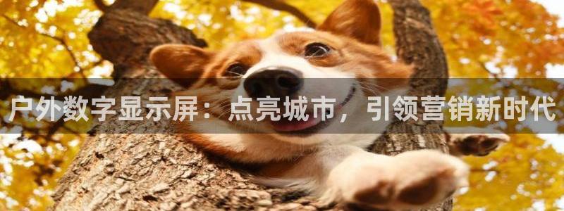 杏宇平台代理怎么赚钱的