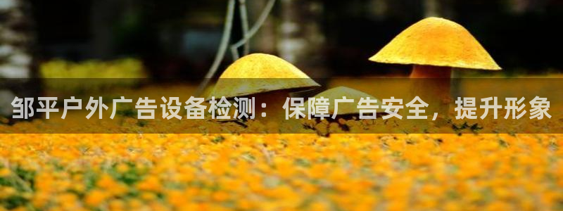 杏宇平台代理多少钱一个