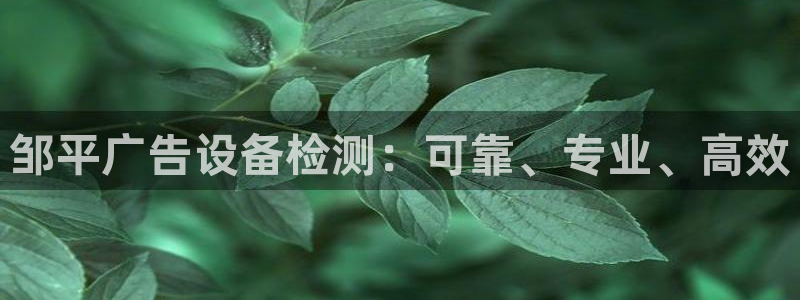 杏宇官方平台官网入口：邹平广告设备检测：可靠、专业、高效