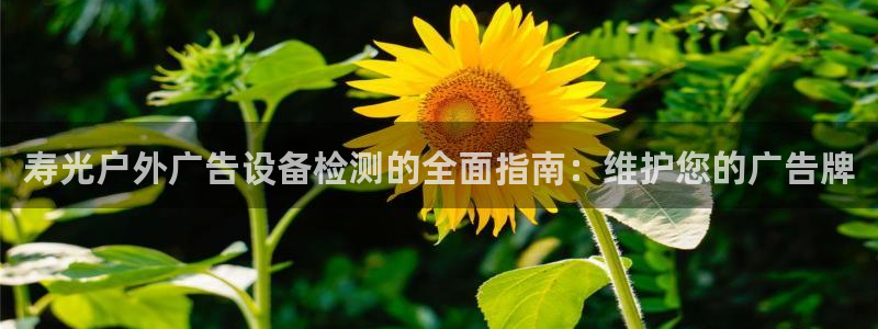 杏宇平台开户