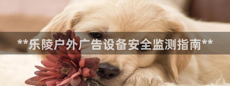杏宇平台代理