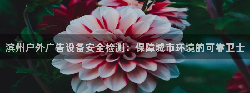 杏宇平台招商