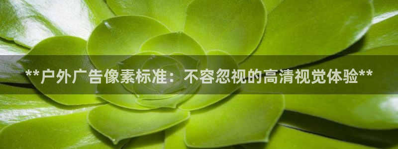 杏宇平台怎么样赚钱