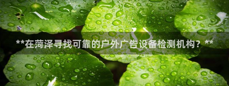 杏宇代理注册：**在菏泽寻找可靠的户外广告设备检测机构？**