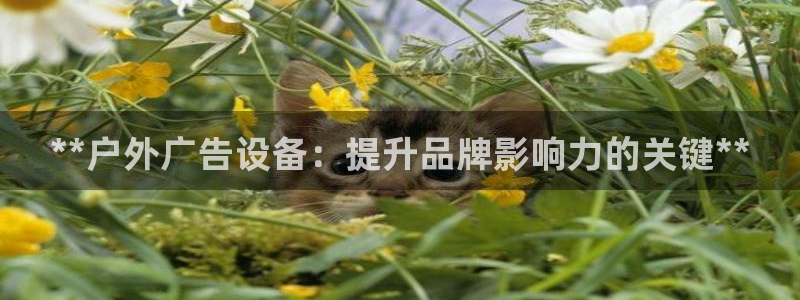 杏宇平台代理多少钱一个月：**户外广告设备：提升品牌影响力的关键**