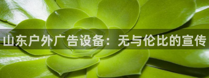 杏宇平台代理多少钱一个月：山东户外广告设备：无与伦比的宣传