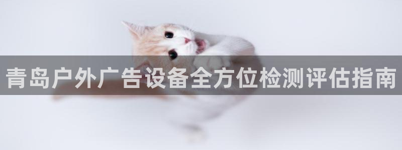 杏宇平台代理多少钱一个月