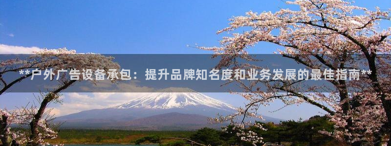 杏宇平台客服：**户外广告设备承包：提升品牌知名度和业务发展的最佳指南**