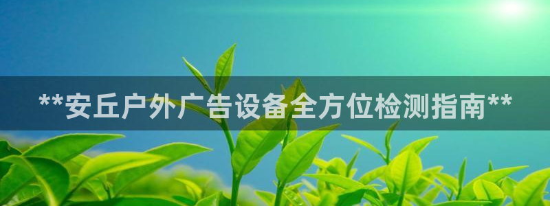 杏宇平台开户：**安丘户外广告设备全方位检测指南**