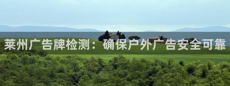 杏宇平台是什么