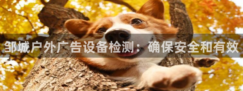 杏宇代理注册
