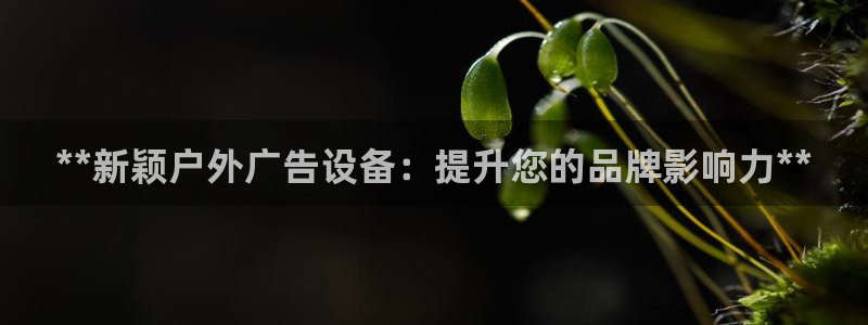 杏宇平台客服：**新颖户外广告设备：提升您的品牌影响力**