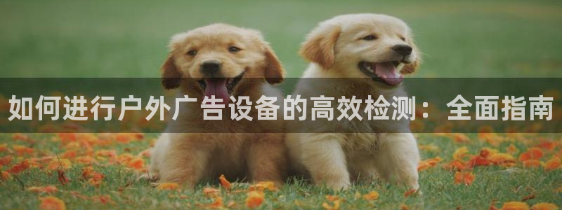 杏宇官方平台官网下载：如何进行户外广告设备的高效检测：全面指南