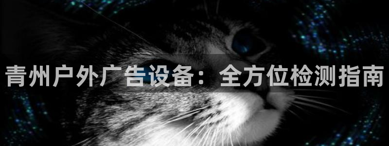 杏宇平台代理怎么样啊