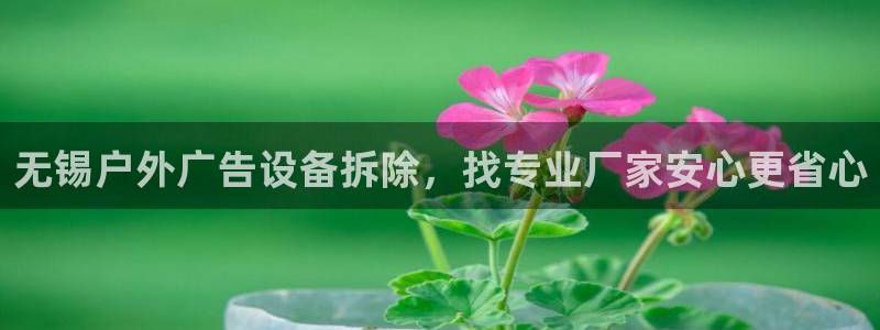 杏宇平台登录方法