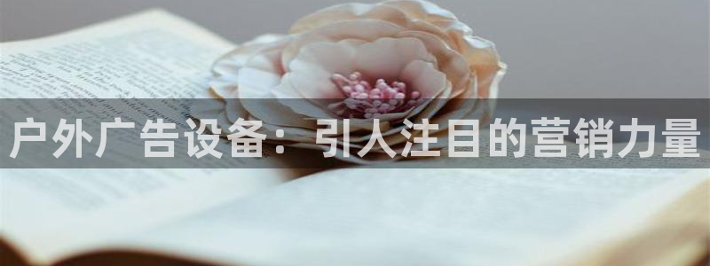 杏宇平台登录步骤是什么