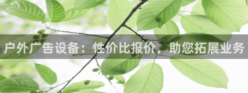 杏宇平台注册登录
