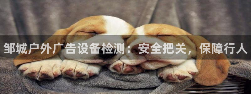 杏宇平台官网注册
