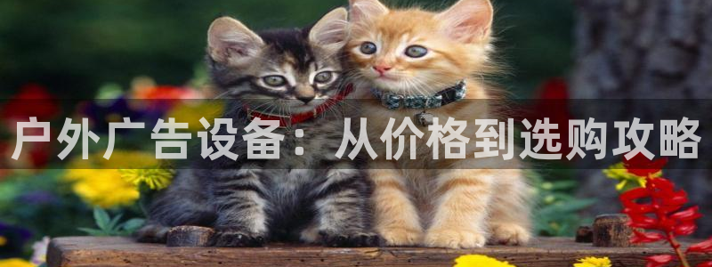 杏宇平台代理怎么样可靠吗